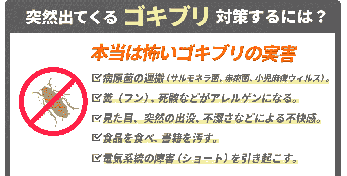本当は怖いゴキブリの実害