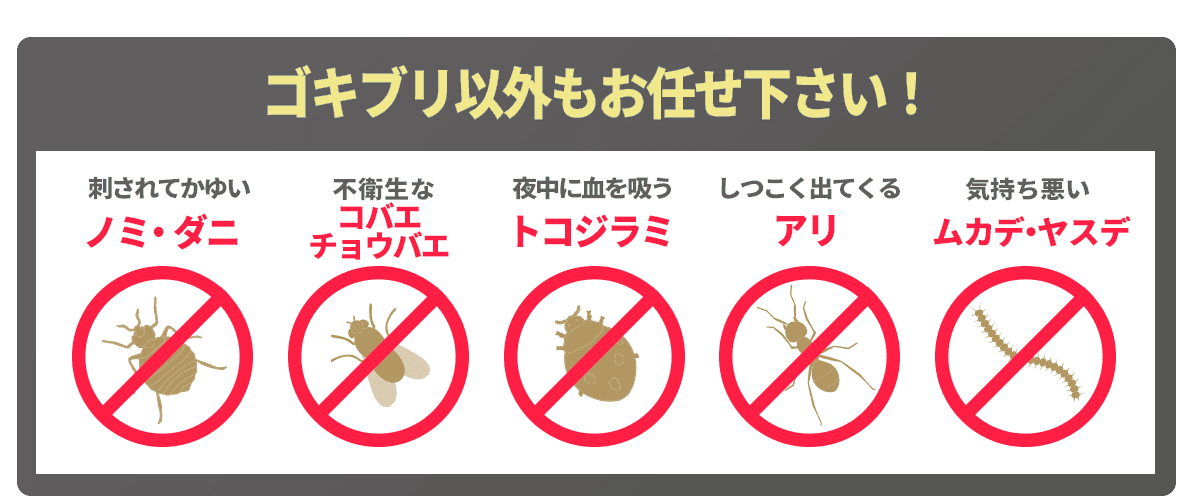ゴキブリ以外もお任せ下さい！