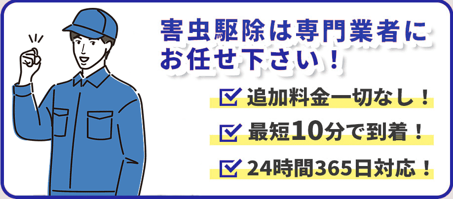 害虫駆除は専門業者にお任せ下さい！