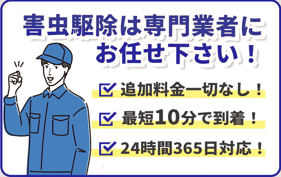 害虫駆除は専門業者にお任せ下さい！