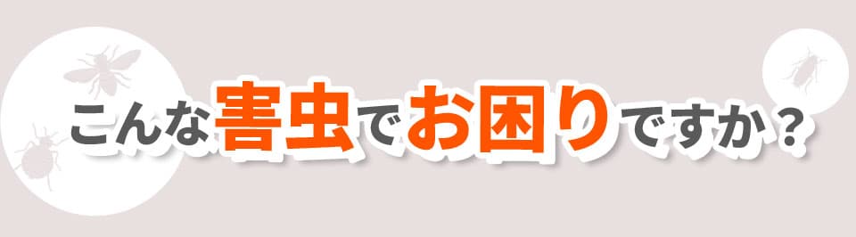こんな害虫でお困りですか？