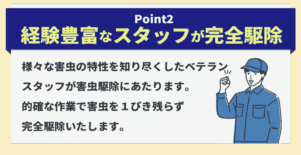 経験豊富なスタッフが完全駆除