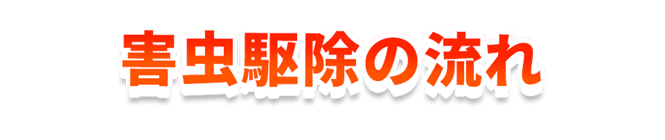 害虫駆除の流れ