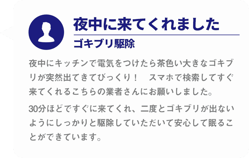 夜中に来てくれましたゴキブリ駆除