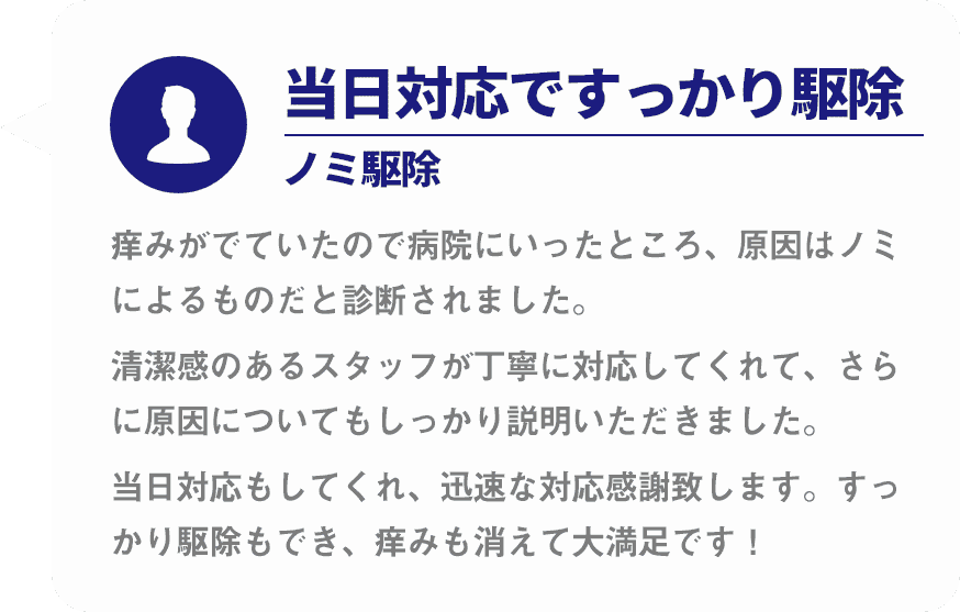 当日対応ですっかり駆除ノミ駆除