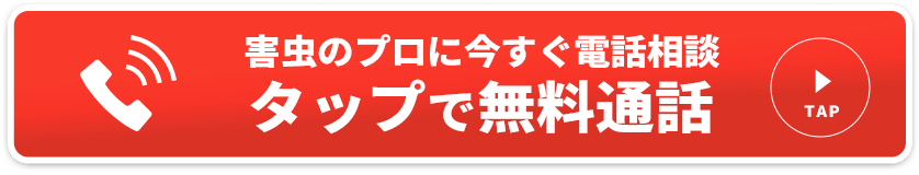 害虫のプロに今すぐ電話相談タップで無料通話