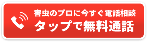 害虫のプロに今すぐ電話相談タップで無料通話