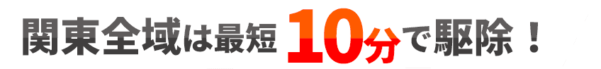 関東1都6県は最短10分で駆除！