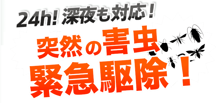 ぞっとする害虫たち1ぴき残らず完全駆除!