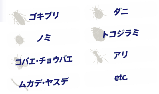 ゴキブリ、ダニ、ノミ、トコジラミ、コバエ。チョウバエ、アリ、ムカデ、ヤスデ